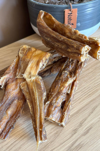 Horse stomach