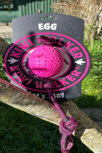 Kiwi Walker Egg
