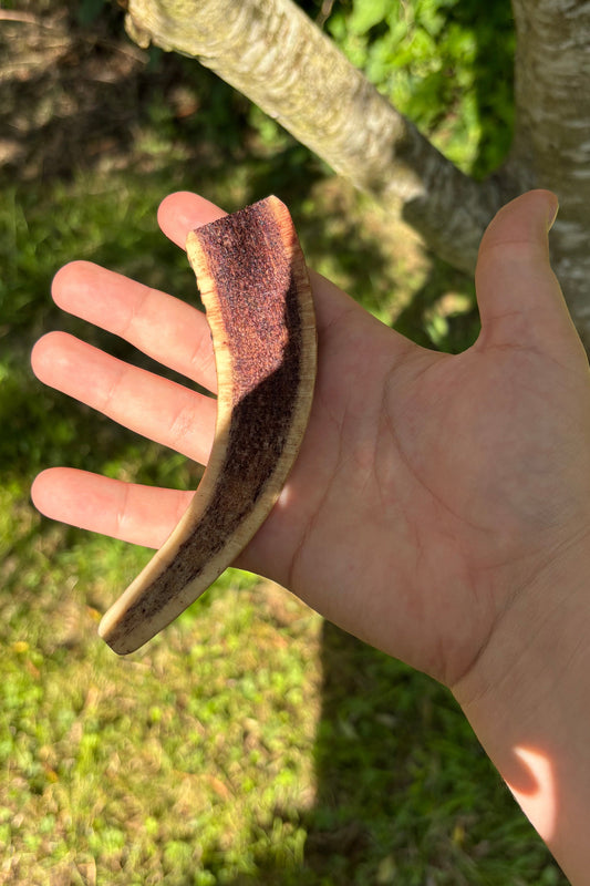 Bois de cerf tranché saveur bœuf grillé