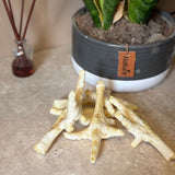 Puffed chicken feet