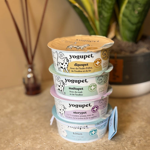 Yogupet 110g au choix pour chiens