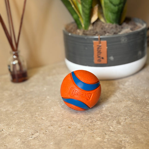 Chuckit Ultra ball size M
