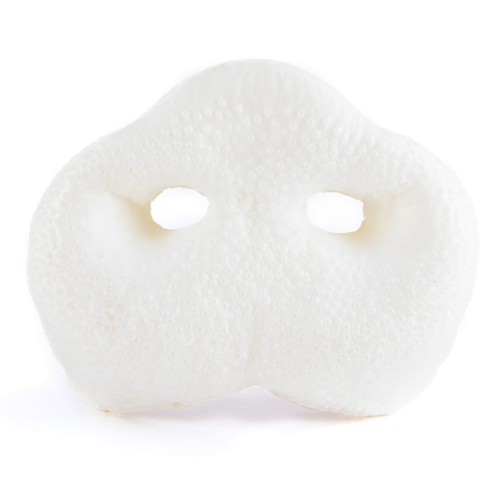 Honey-puffed pig snout
