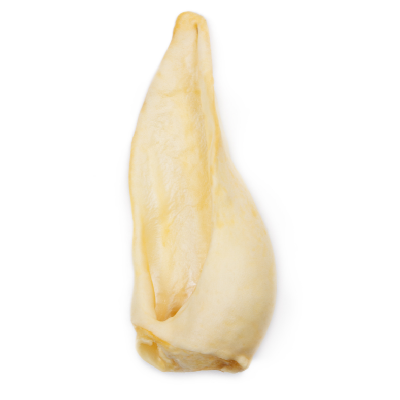 Goat's ear